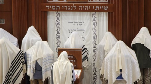 אריה מינקוב 1 (26).JPG
