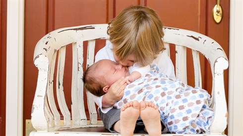 brothers-457234_1920.jpg