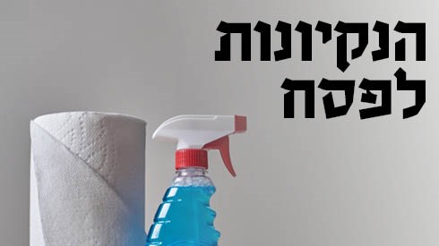 כתבות פסח תשעט7.jpg