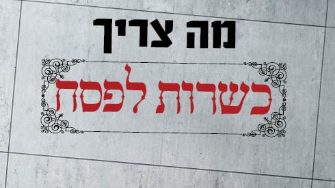 כתבות פסח תשעט5.jpg
