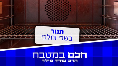 תנור בשרי וחלבי.jpg