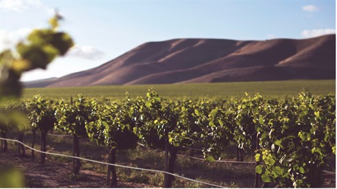 crop-cropland-daylight-953166.jpg