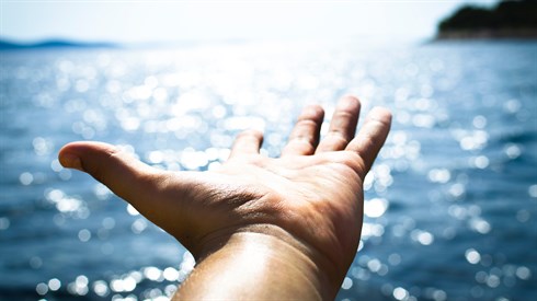 handd.jpg