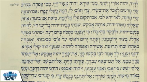 דוד ול''''ך.png