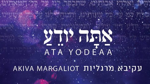 מצגת1.jpg