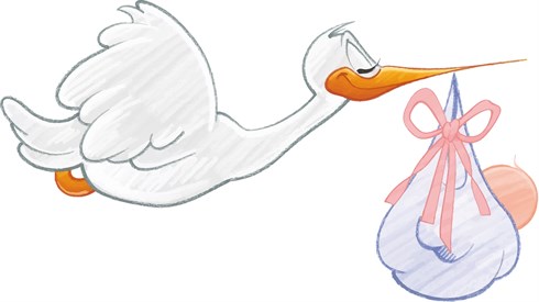 baby-1299514_1280.png
