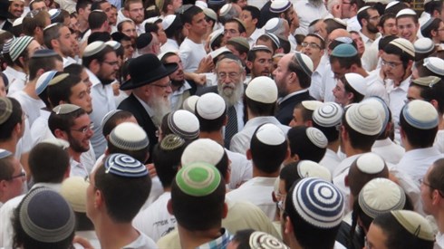 אריה מינקוב