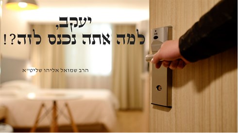 עיצוב ללא שם.png