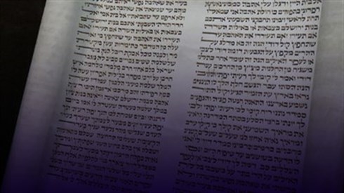 אתר ישיבה / yeshiva.co