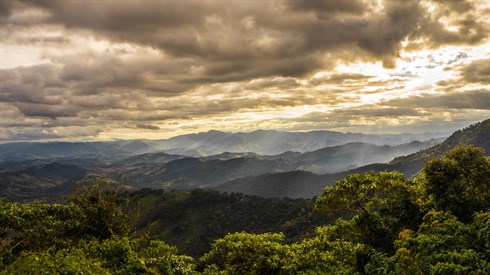 campos-do-jordao-2934837_960_720.jpg