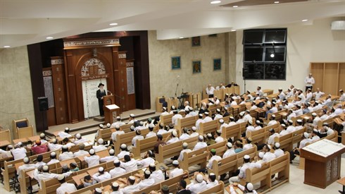 אתר ישיבה / yeshiva.co