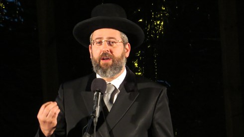 אריה מינקוב (79).JPG
