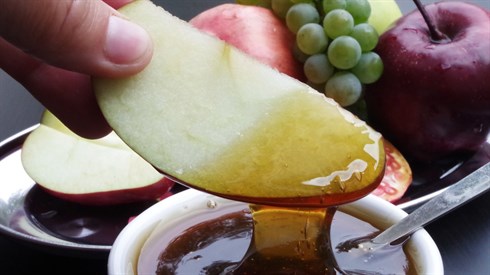שימוש בתמונה זו נעשה בהתאם לסעיף 27א לחוק זכויות יוצרים. אם הנכם בעלי הזכויות בתמונה זו ומעוניינים שנחדול משימושה או נעדכן קרדיט מתאים, אנא פנו אלינו לכתובת: beitel@yeshiva.org.il