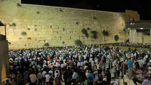 אריה מינקוב (65).JPG