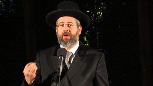 אריה מינקוב (79).JPG