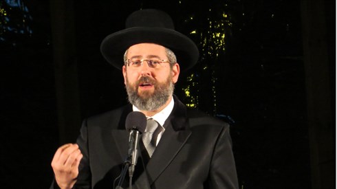 אריה מינקוב (79).JPG