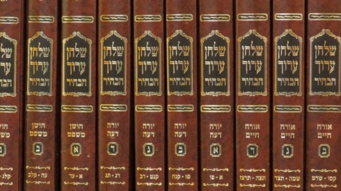 קרדיט אריה מינקוב (14).JPG
