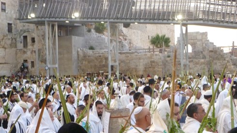 עין טובה (323).JPG