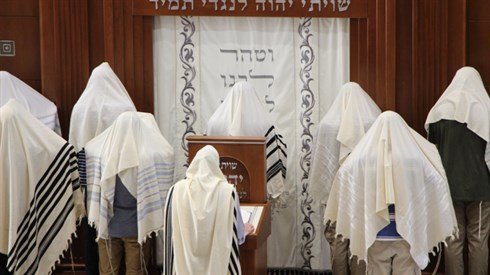 אריה מינקוב