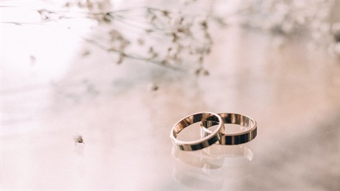 pexels-freestocksorg-818649.jpg