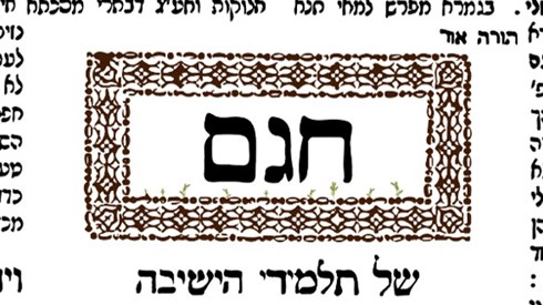 WhatsApp Image 2021-01-26 at 16.14.00.jpeg