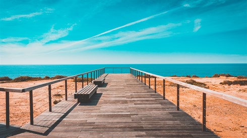 pexels-pixabay-462024.jpg