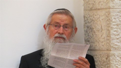 אריה מינקוב (64).JPG