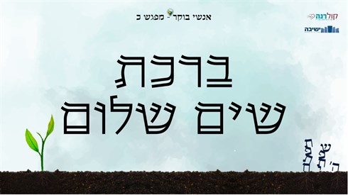 אנשי בוקר