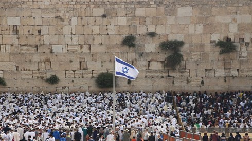 אריה מינקוב.jpg
