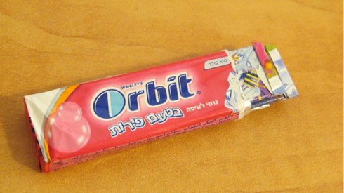 אריה מינקוב (2).JPG