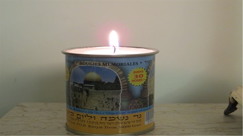 אריה מינקוב (18).JPG