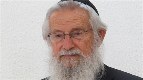 אריה מינקוב (213).JPG