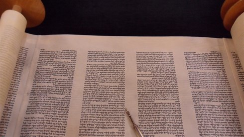 חופשי.jpg