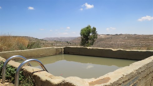 אריה מינקוב