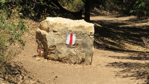 אריה מינקוב &nbsp;טיול (86).JPG