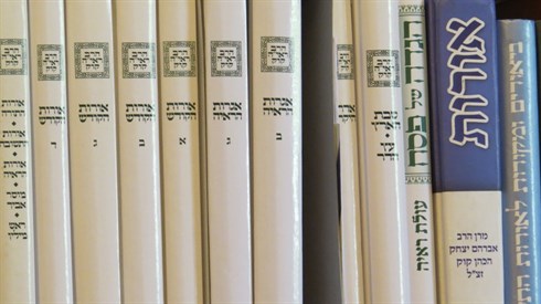 קרדיט אריה מינקוב (11).JPG