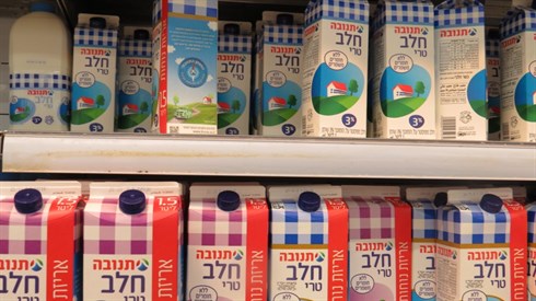 קרדיט לאריה מינקוב (90).JPG