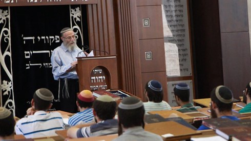 אריה מינקוב