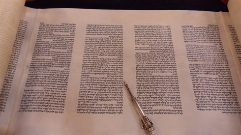 חופשי.jpg