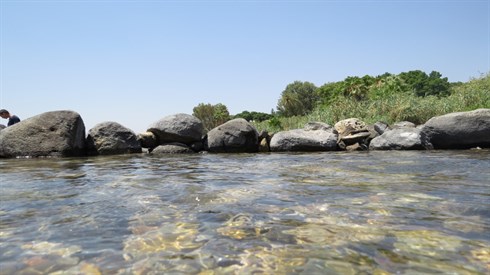 אריה מינקוב &nbsp;טיול (136).JPG