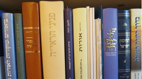 אריה מינקוב (2).JPG