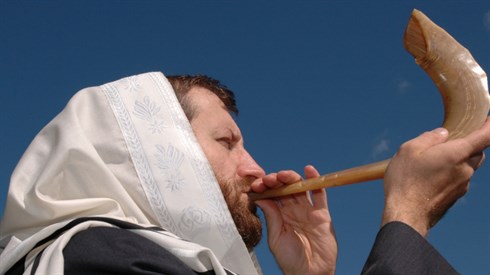 שאטרסטוק לפייסבוק.png