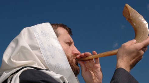 שאטרסטוק לפייסבוק.png