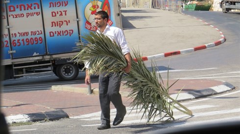 קרדיט לאריה מינקוב (57).JPG