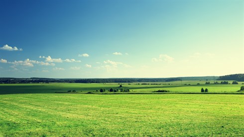 shutterstock_174515381.jpg