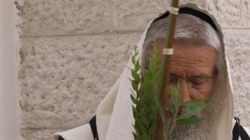 נתנאל יעקובי.JPG