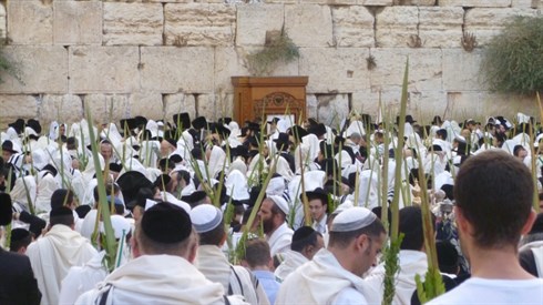 עין טובה (322).JPG
