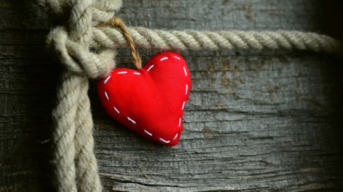 heart-3085515_1920.jpg