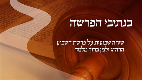 בנתיבי הפרשה6.jpg