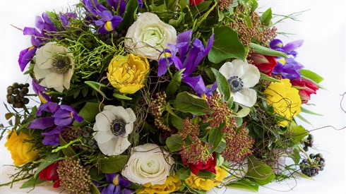 flower-3218896_1920.jpg
